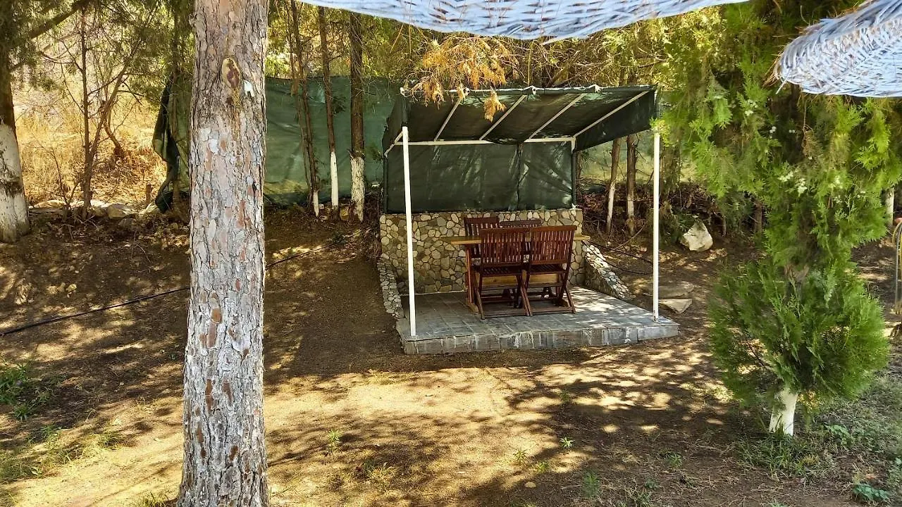 Hotel Tropicana Datça